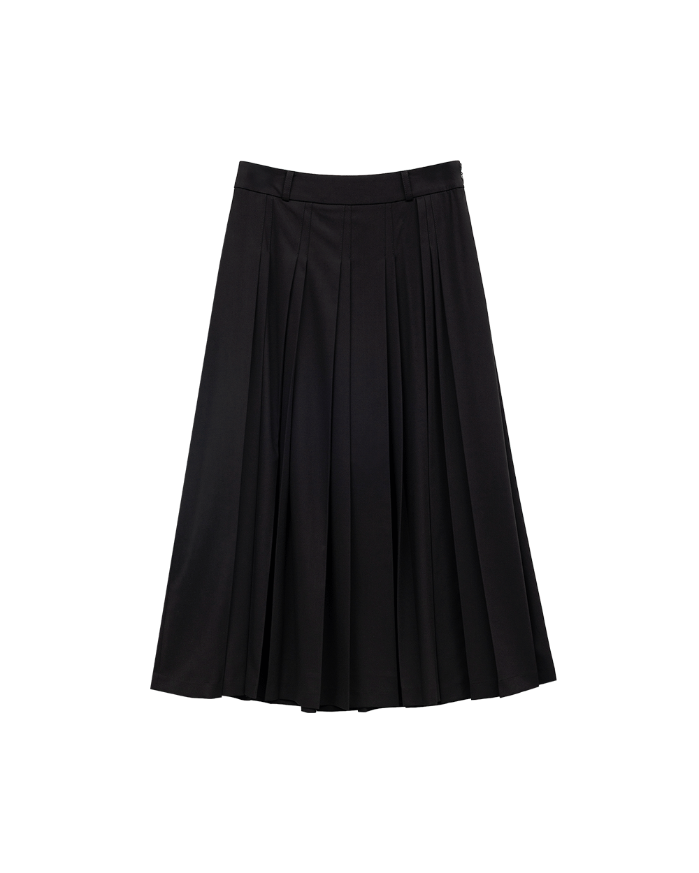 Pleated Skirt Pants