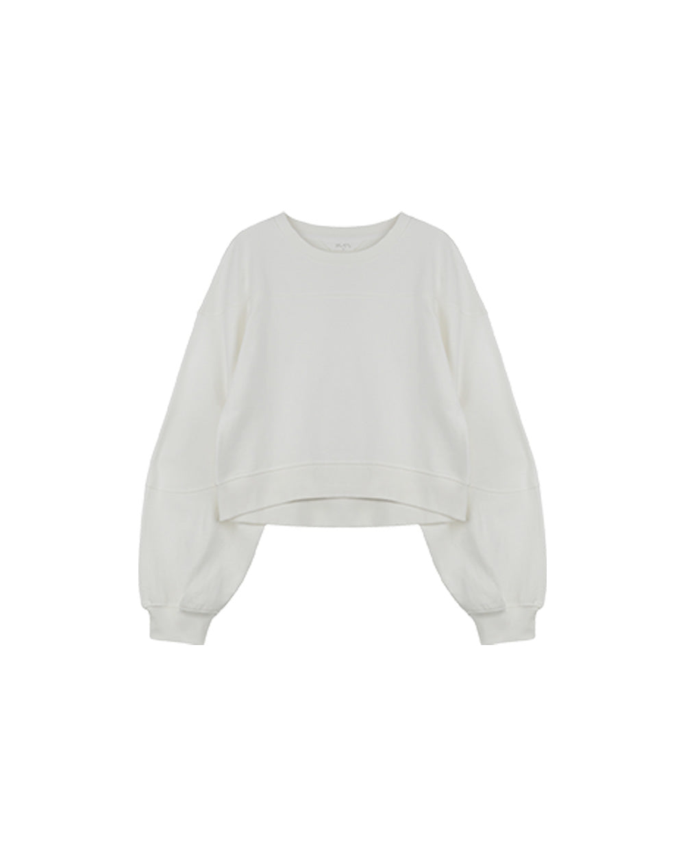 Volume Sleeve Sweatshirt