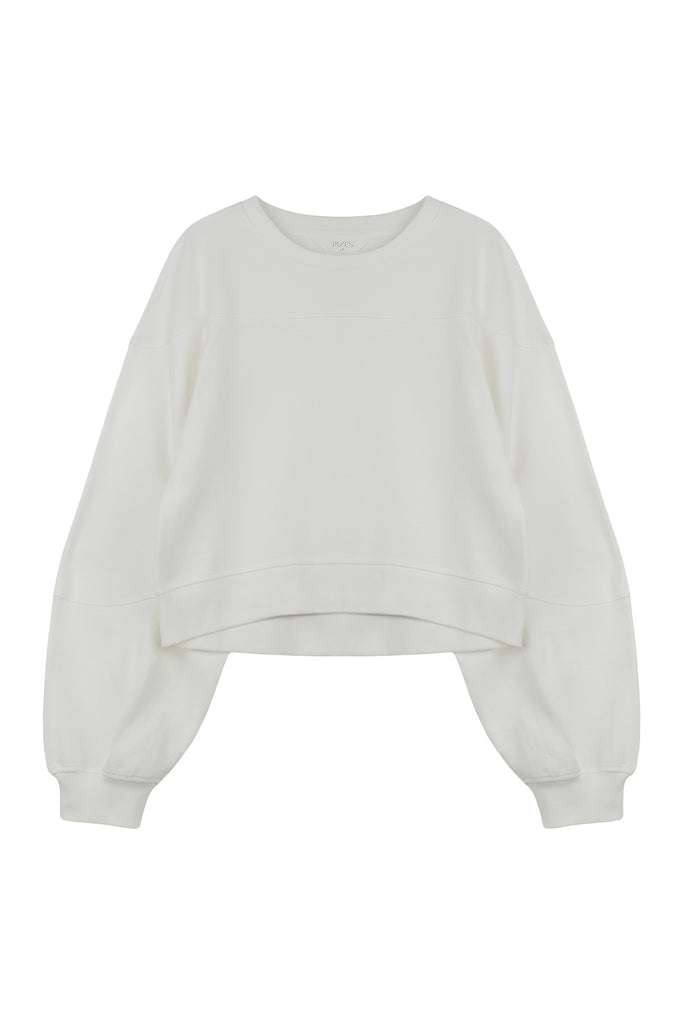 #color_ivory