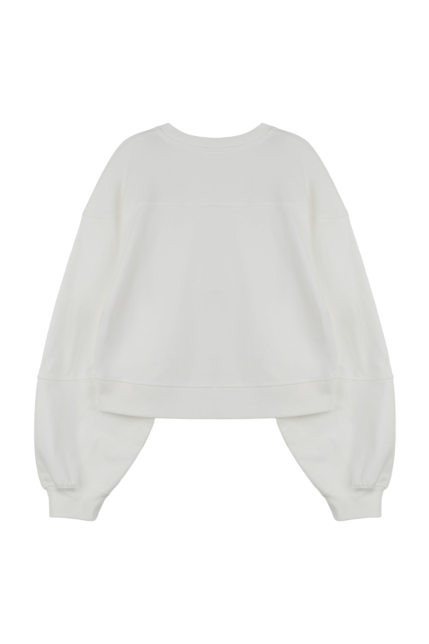 #color_ivory