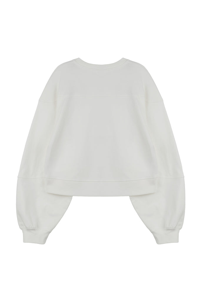 #color_ivory