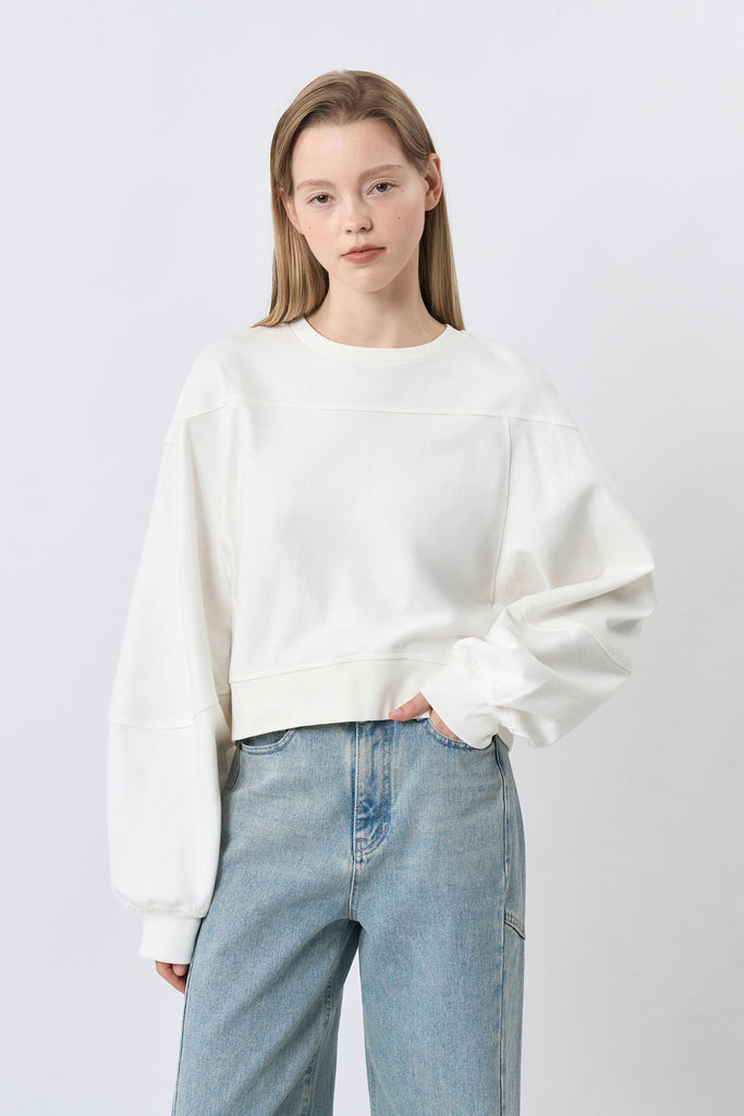 #color_ivory
